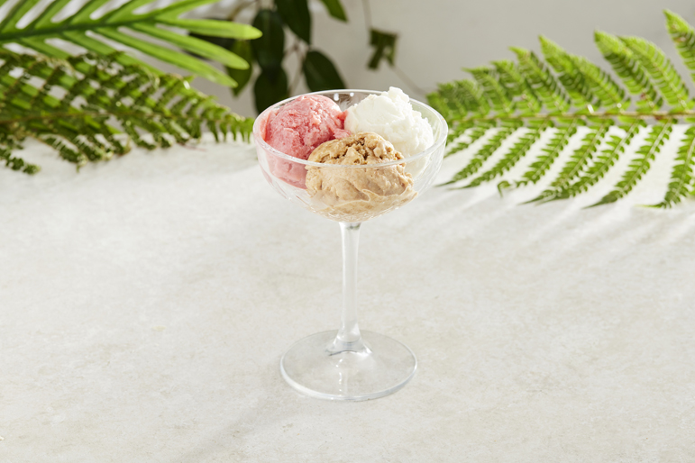 SORBE ÇEŞİTLERİ 1 TOP                                                                                                                   